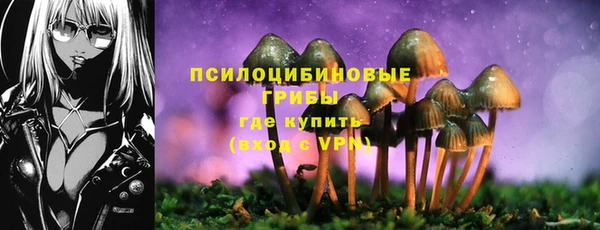 MDMA Инта