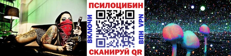 Купить закладки  Магнитогорск  Галлюциногенные грибы Psilocybe 